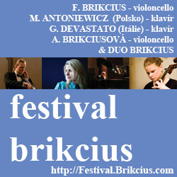 Brikcius 2013